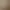 vitrification parquet